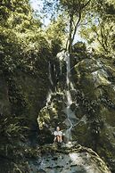 Tigrillo Rio Claroby LosColoresEcoparque