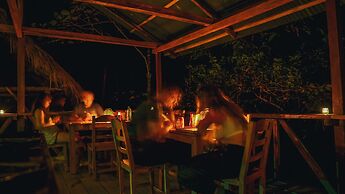 Tigrillo Rio Claroby LosColoresEcoparque