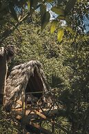 Tigrillo Rio Claroby LosColoresEcoparque