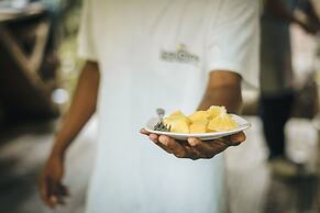 Tigrillo Rio Claroby LosColoresEcoparque