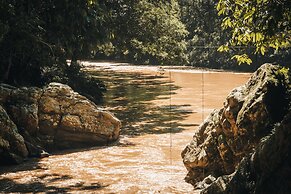 Tigrillo Rio Claroby LosColoresEcoparque