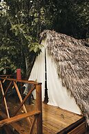 Tigrillo Rio Claroby LosColoresEcoparque