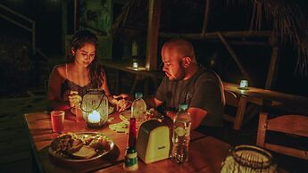 Tigrillo Rio Claroby LosColoresEcoparque