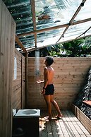 Tigrillo Rio Claroby LosColoresEcoparque