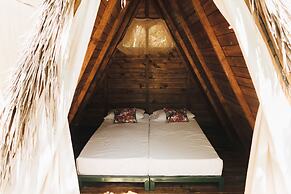 Tigrillo Rio Claroby LosColoresEcoparque