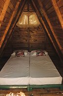 Tigrillo Rio Claroby LosColoresEcoparque