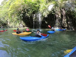 Tigrillo Rio Claroby LosColoresEcoparque