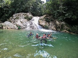 Tigrillo Rio Claroby LosColoresEcoparque