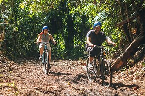 Tigrillo Rio Claroby LosColoresEcoparque