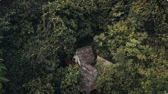 Tigrillo Rio Claroby LosColoresEcoparque