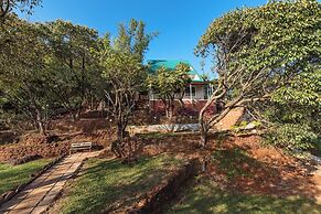 Evergreen Cascade by cosmicstays