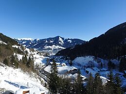 Schmitten Finest Apartment - LEO