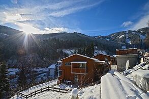 Schmitten Finest Apartment - LEO