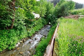 Budget Chalet Alpine - Apartment A