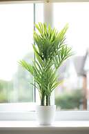 Crescent House Apartments