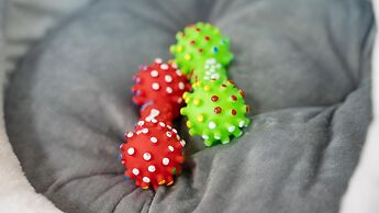 Hongcheon Stoneisland Pension