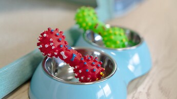 Hongcheon Stoneisland Pension