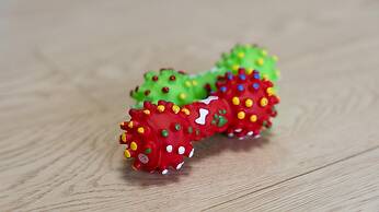 Hongcheon Stoneisland Pension