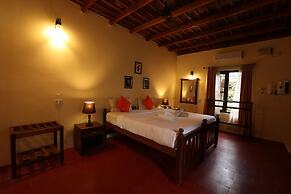 Avadale Coorg Stag - Groups Not Allowed