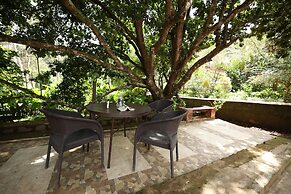 Avadale Coorg Stag - Groups Not Allowed