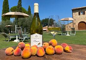 Tenuta Sovestro