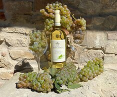 Tenuta Sovestro
