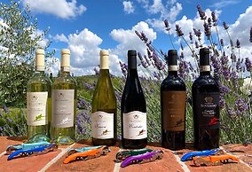 Tenuta Sovestro