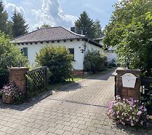 B&B Dressings Traumgarten