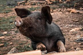 Agroturismo Ses Illes