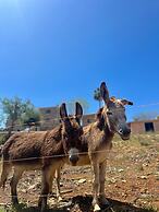 Agroturismo Ses Illes