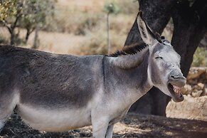 Agroturismo Ses Illes