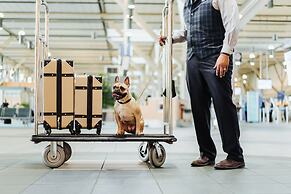 Fairmont Vancouver Airport - Gold Experience