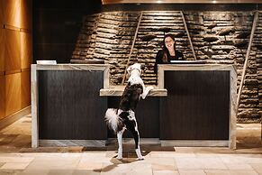 Fairmont Vancouver Airport - Gold Experience