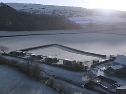 Low Longlands