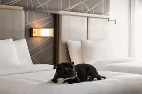 SpringHill Suites by Marriott Camp Hill