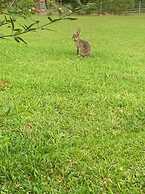 Sítio Fuchsia Régia em Rancho Queimado