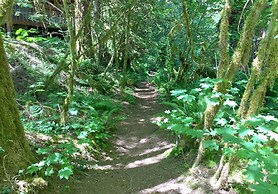 75sl - Wifi - Bbq - Pets Ok - Sleeps 6 2 Bedroom Home by RedAwning