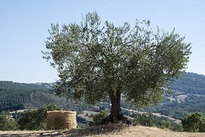 Tenuta San Lodovico