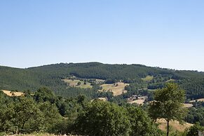 Tenuta San Lodovico