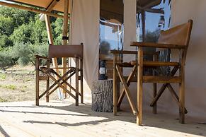 Tenuta San Lodovico