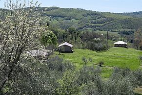 Tenuta San Lodovico