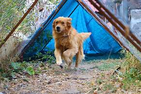 Doğunun Taş Evleri