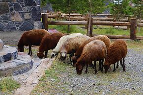 Doğunun Taş Evleri