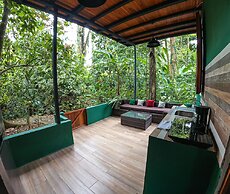 Green Jungle House
