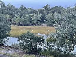 Blue Heron Retreat