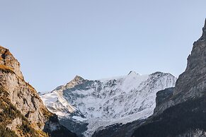 Hotel Fiescherblick