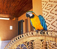 Tulum Beach Resort Dakhla