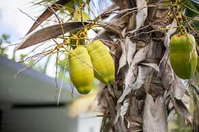 Casa Maria Curacao. Luxury 6 Bedroom Villa Next to Supermarket & Jan T