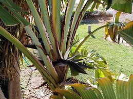 Lovely 7 Bedroom Villa !!