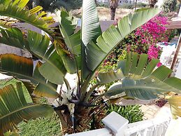 Lovely 7 Bedroom Villa !!